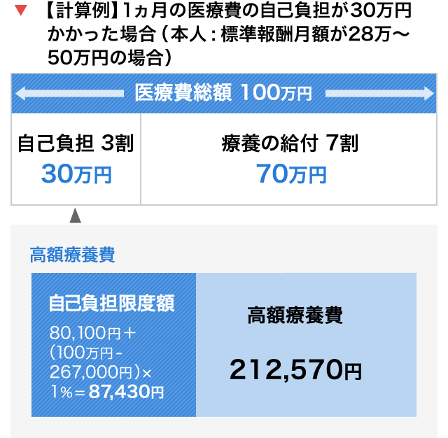 1ヶ月の医療費の自己負担が30万円かかった場合の計算例